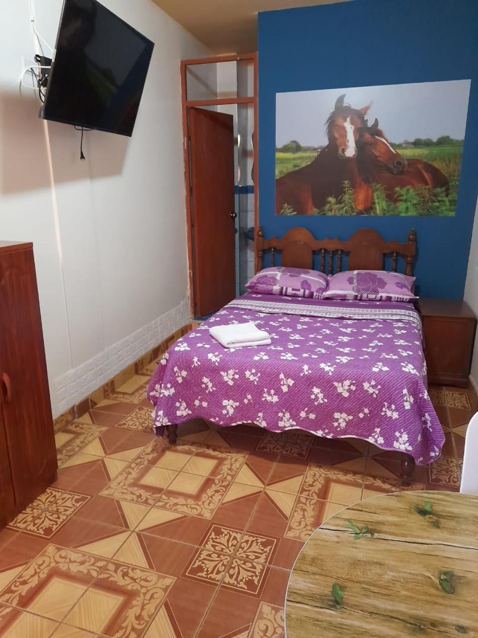 Nasca Trails B&B Nazca Luaran gambar